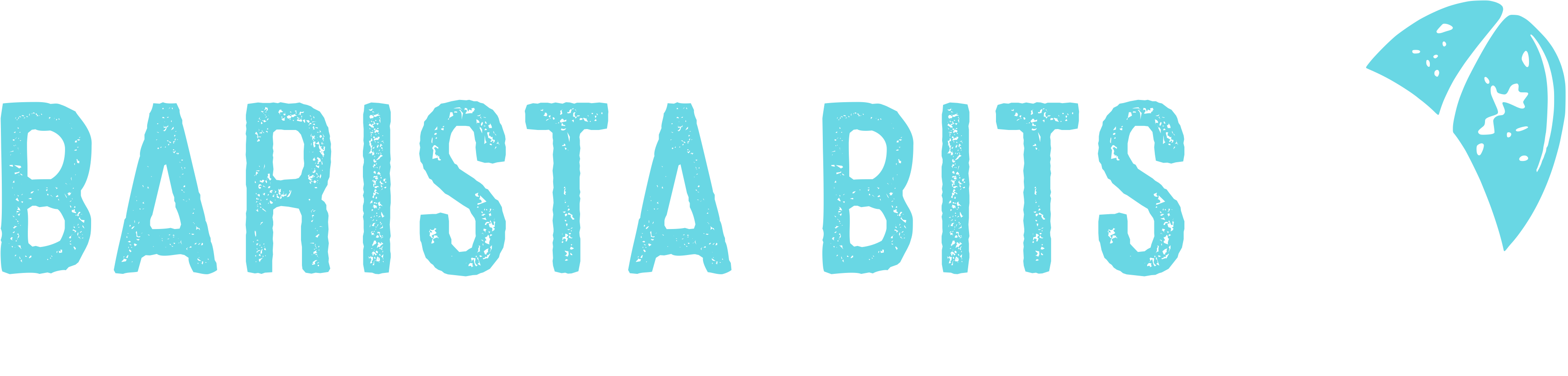 Barista Bits